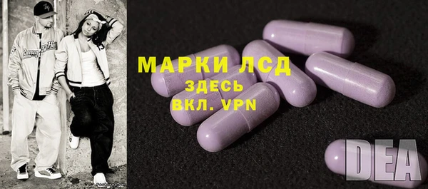 ECSTASY Богородицк